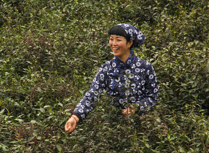 152网主 潮湿欲望